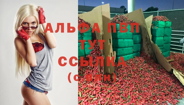 альфа пвп Коряжма
