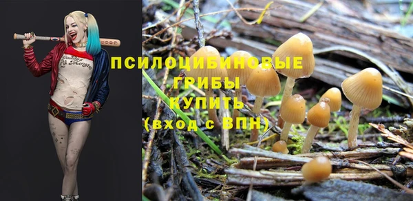 альфа пвп Коряжма