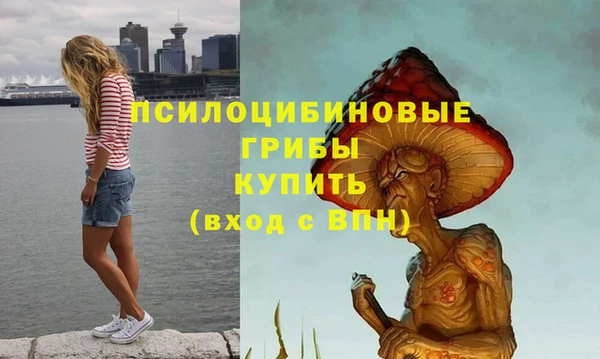 дмт Козловка