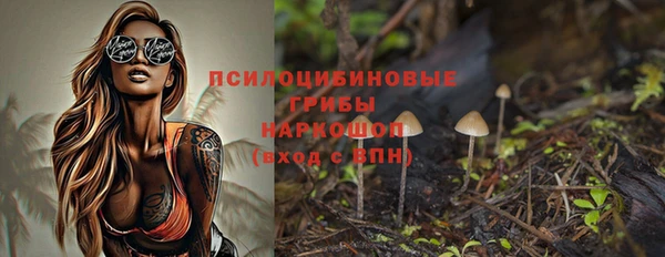 дмт Козловка