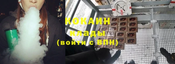 дмт Козловка