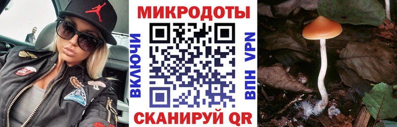 Псилоцибиновые грибы MAGIC MUSHROOMS  Купить  Иркутск
